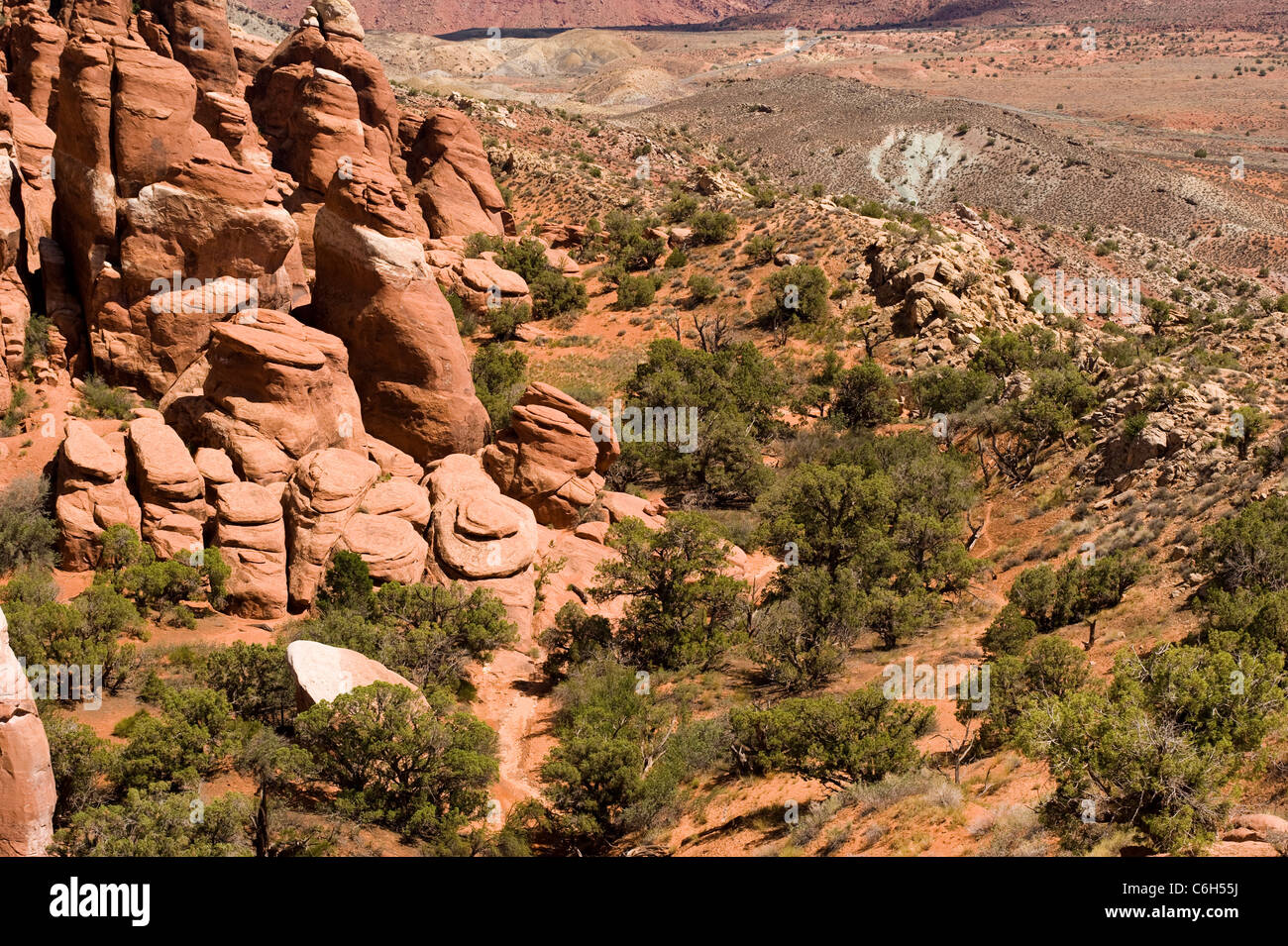 Red rock (stone) opposite to green bush in Arches National Park UTAH Stock Photo
