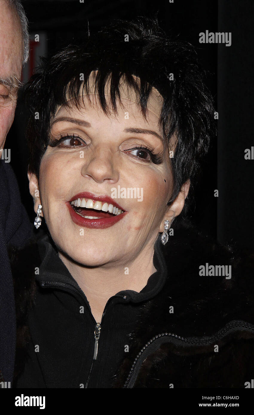 Liza Minnelli The 2010 Vineyard Theatre Gala honoring Kander and Ebb ...