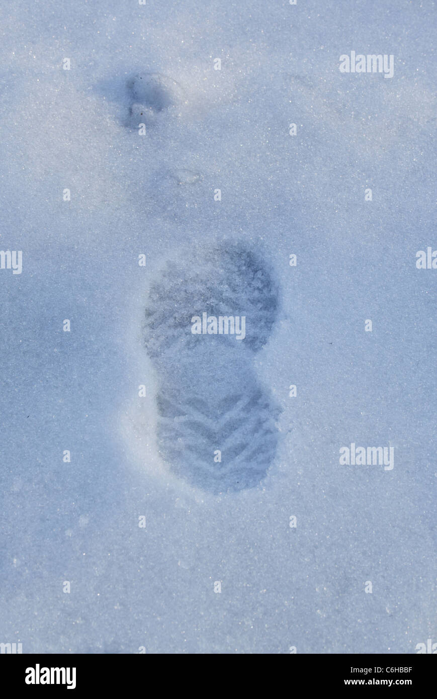 trace on the snow Stock Photo Alamy