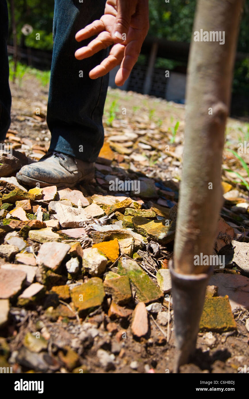 Planting corn in the soil, Canton La Junta, Comalapa, Chalatenango, El