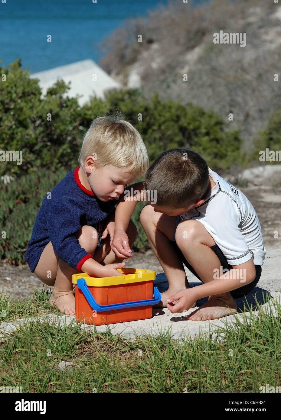 Two young boys playing with tadpole in colourful bucket near the shore