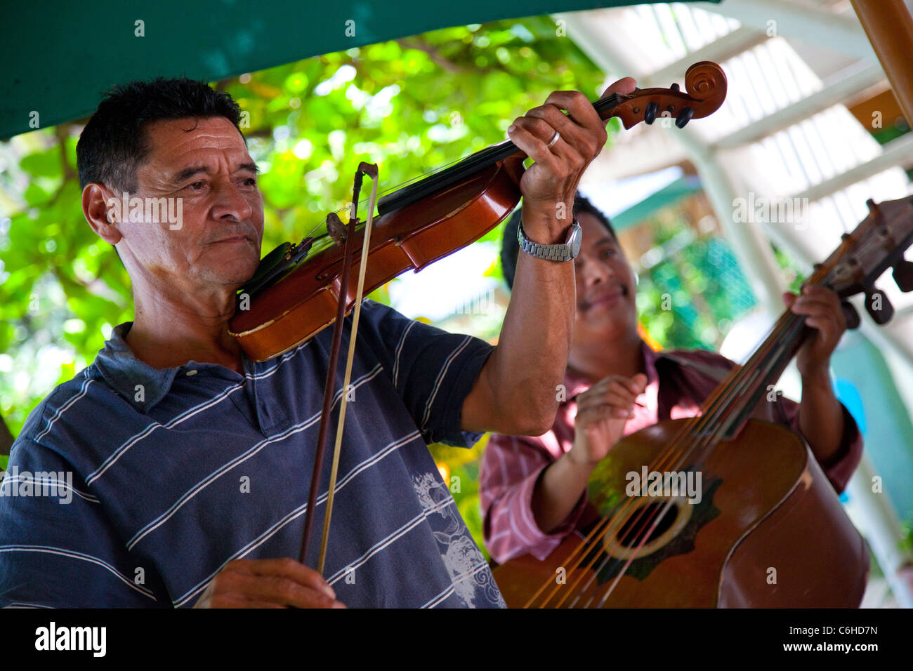 Musician in San Salvador, El Salvador Stock Photo Alamy