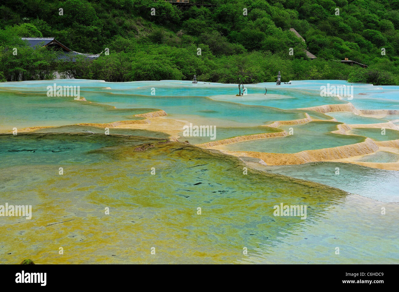 Travertine terrace pools at Huanglong Nature Reserve, an UNESCO World Heritage Site. Sichuan, China. Stock Photo