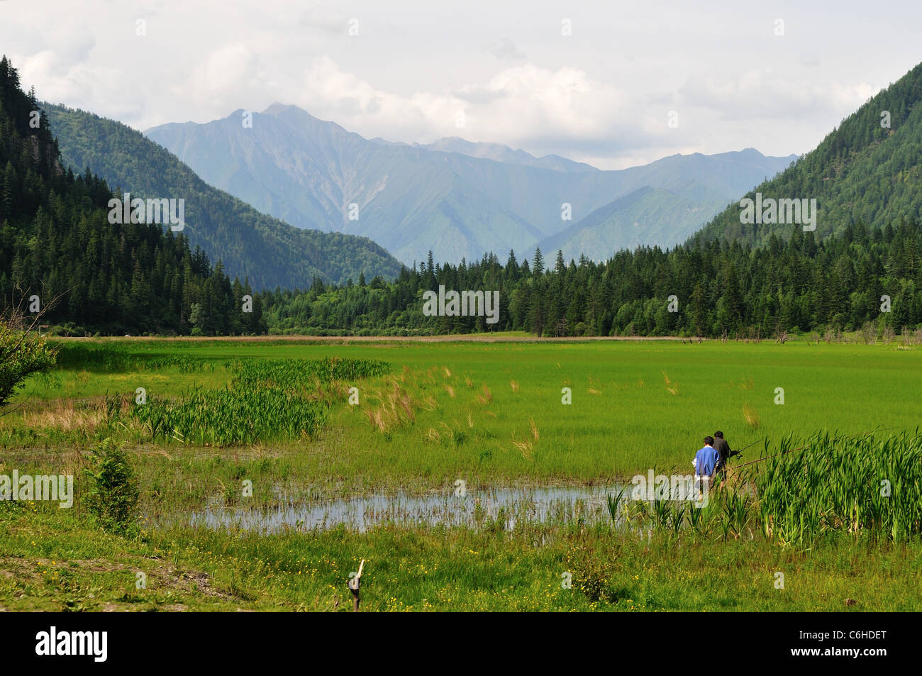 Two men fishing in a highland marsh. Sichuan, China. Stock Photo