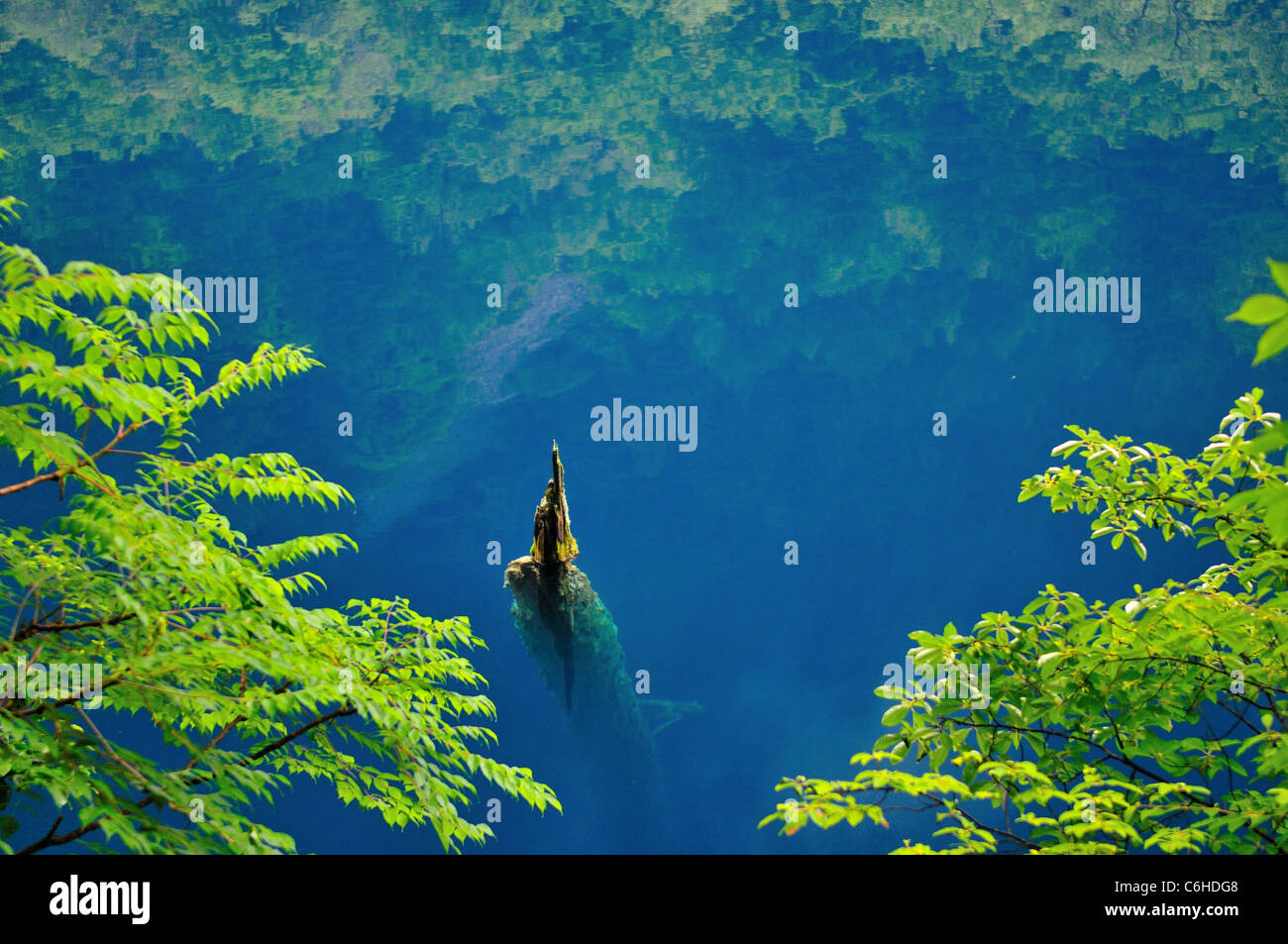Serene scene at a blue water lake in Jiuzhaigou Nature Reserve, an UNESCO World Heritage site. Sichuan, China. Stock Photo