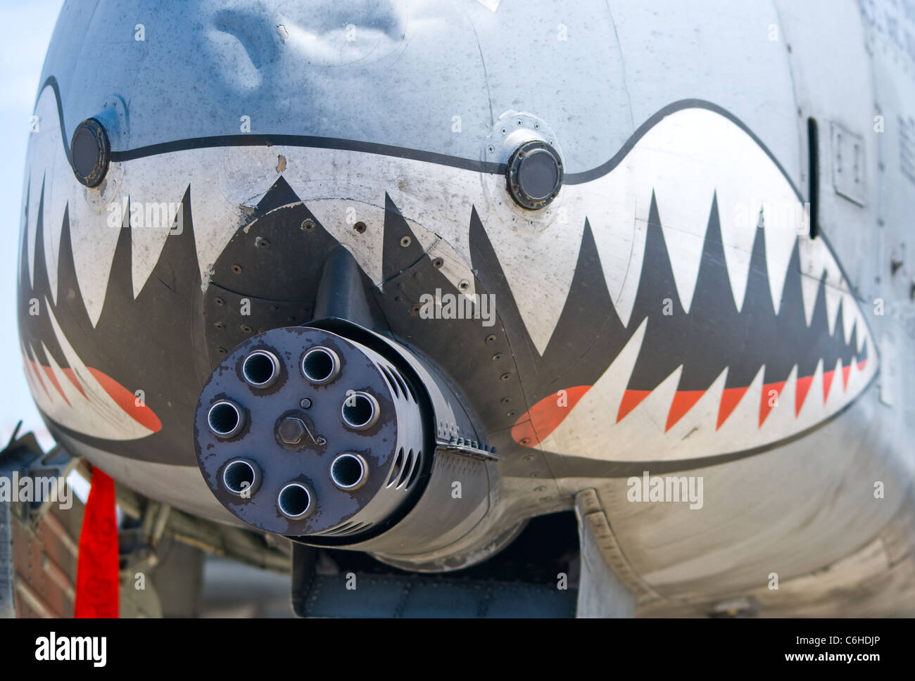 A10 Warthog Shark