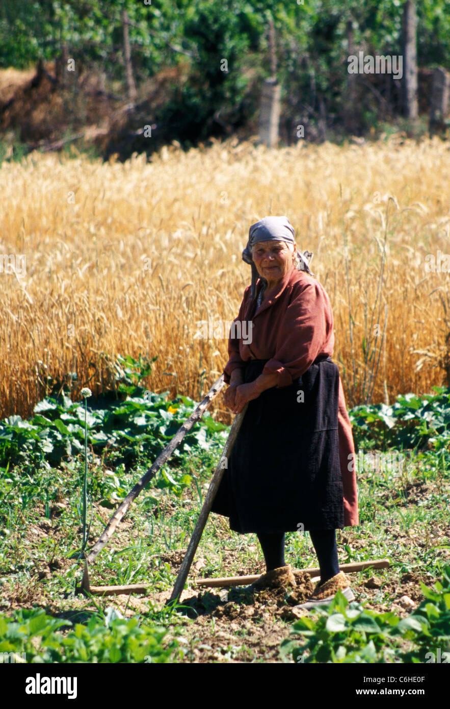 Tilling the crop, southwest Bulgaria Stock Photo