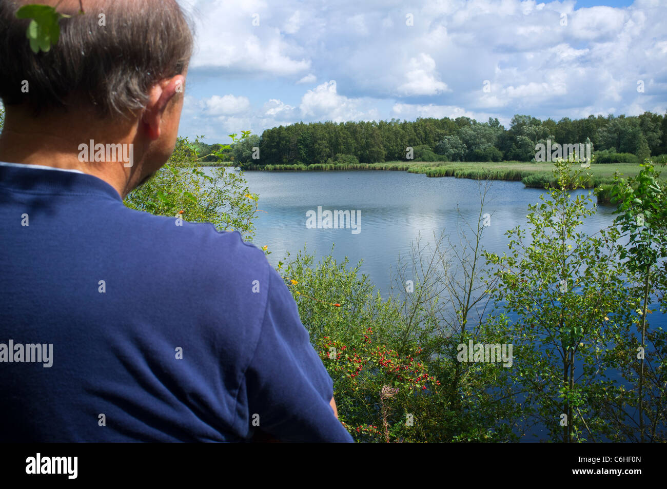 Man looking over the Harchies Swamps, former submerged coalmines, Hainaut, Belgium Stock Photo