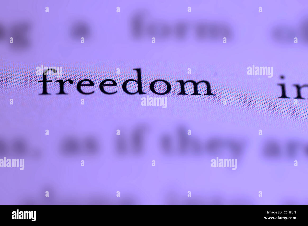 close up of word Freedom in text Stock Photo