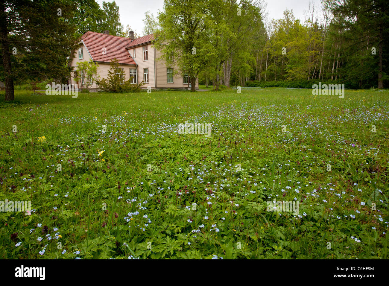 Lovely flowery meadow around old house in Viidumae national park, saarema, Estonia. Stock Photo