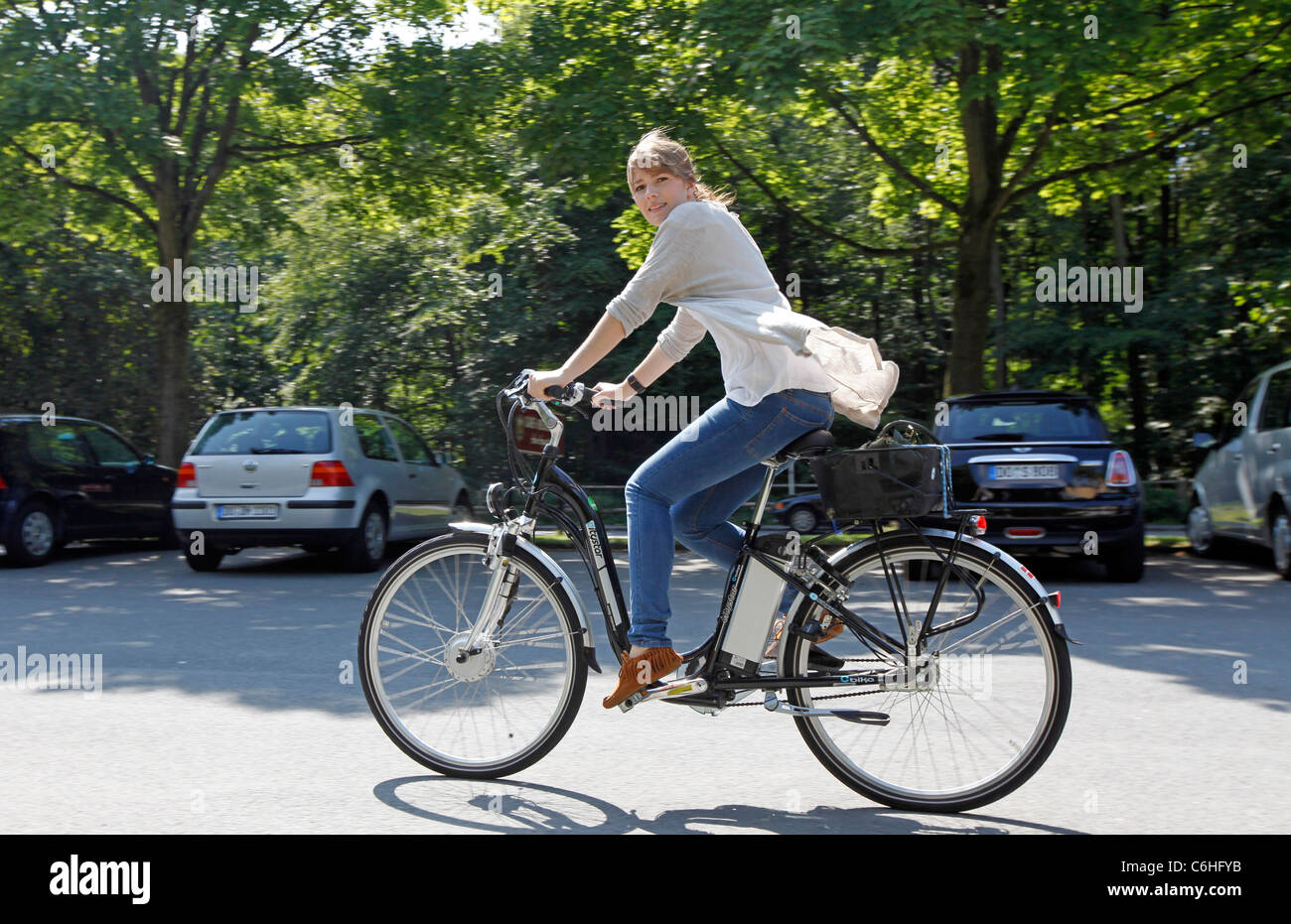 pedelec ebike