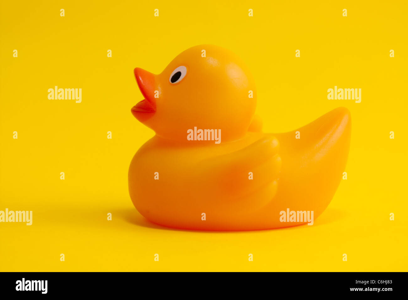 rubber duck on yellow background, cute bath toy Stock Photo - Alamy