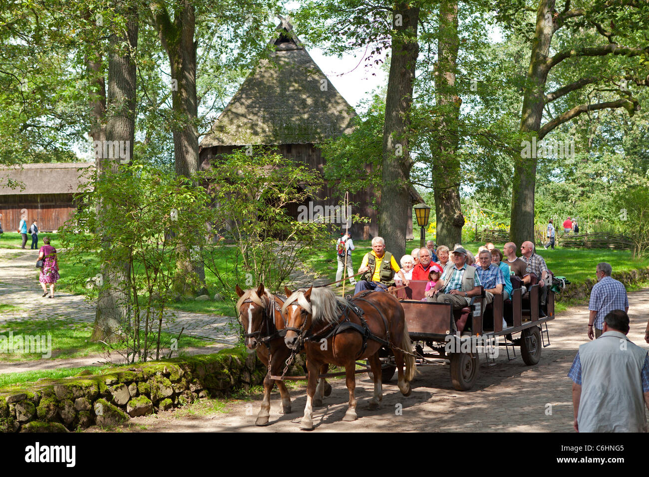 horse-drawn carriage, Wilsede, Luneburg Heath, Lower Saxony, Germany Stock Photo