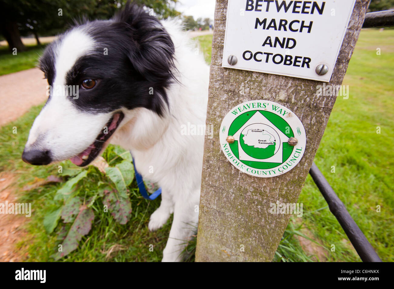 A sign for the Weavers Way long distance footpath in Norfolk, UK. Stock Photo