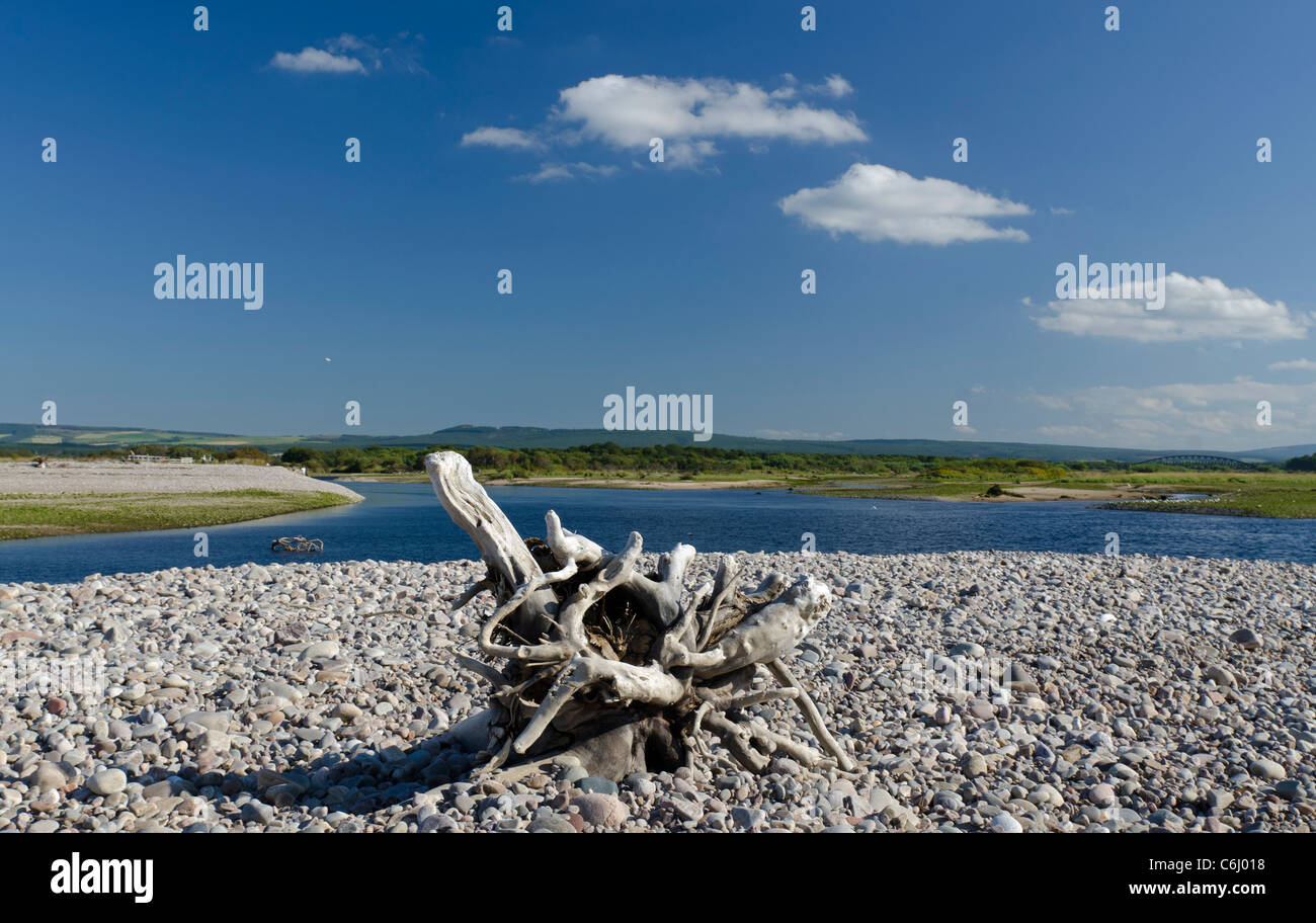 Driftwood beached at Spey Bay looking across estuary Stock Photo