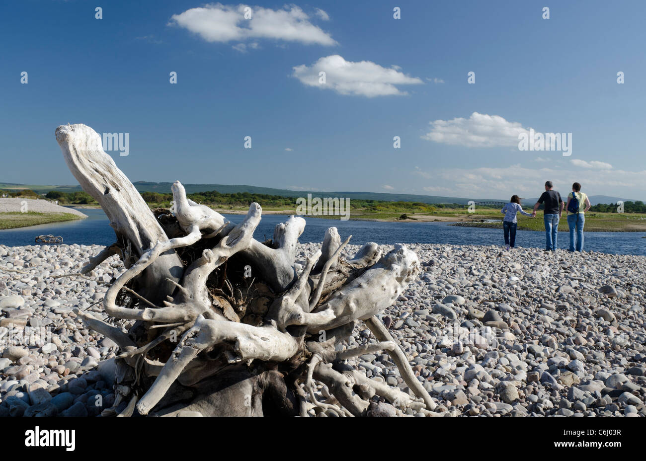 Driftwood beached at Spey Bay with family looking across estuary Stock Photo
