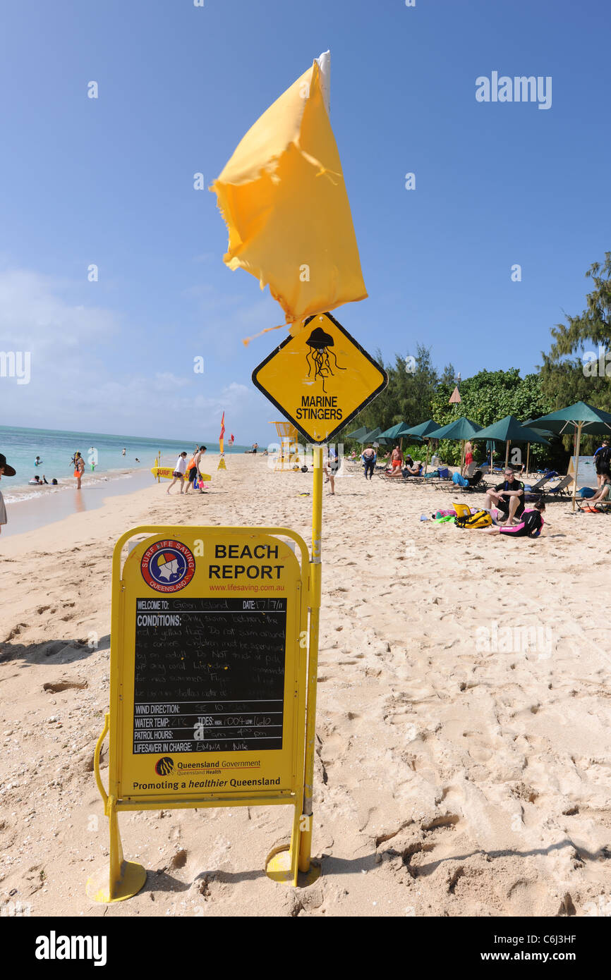 Beach report, Marine Stingers sign and yellow flag on beach, Green Island, Great  Barrier Reef, Queensland, Australia Stock Photo - Alamy