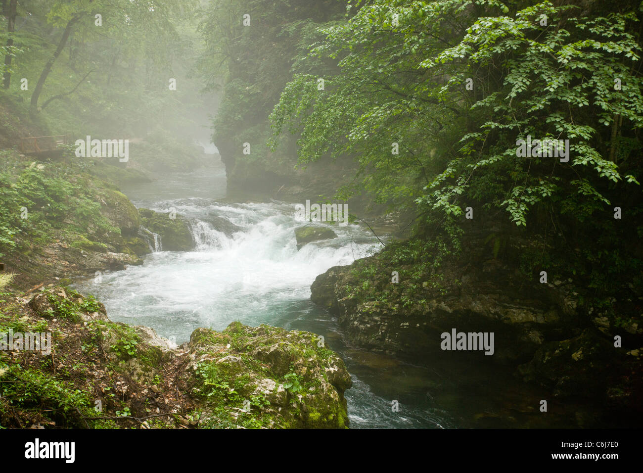 Radovna River, in the Vintgar Gorge, Triglav National Park, Slovenia. Stock Photo