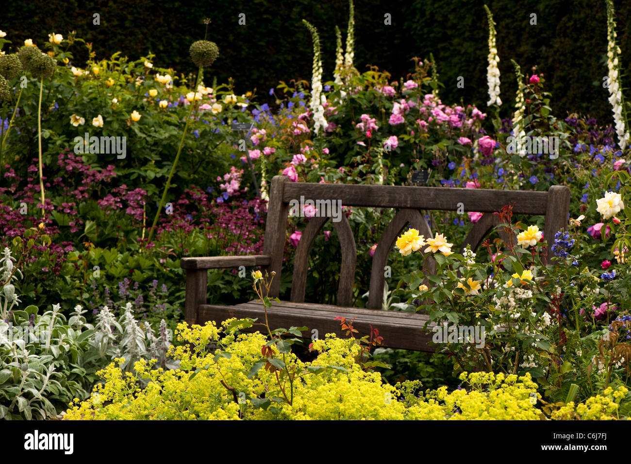 The Shrub Rose Garden at RHS Rosemoor in June, Devon, England, United Kingdom Stock Photo