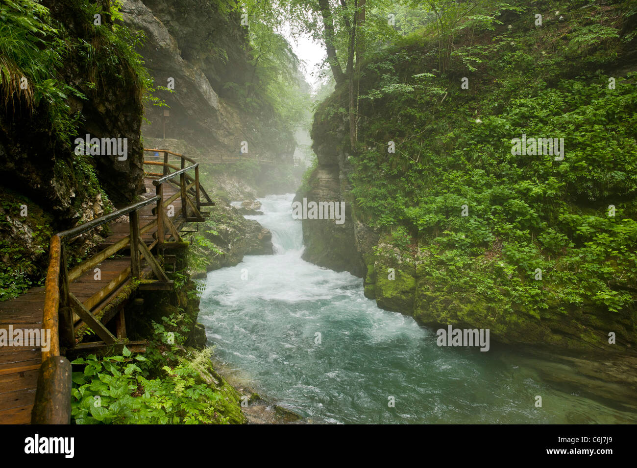 Radovna River, in the Vintgar Gorge, Triglav National Park, Slovenia. Stock Photo
