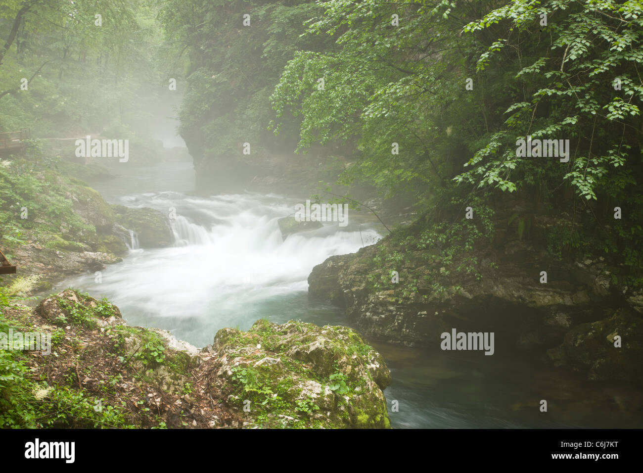 Radovna River, in the Vintgar Gorge, Triglav National Park, Slovenia. Stock Photo