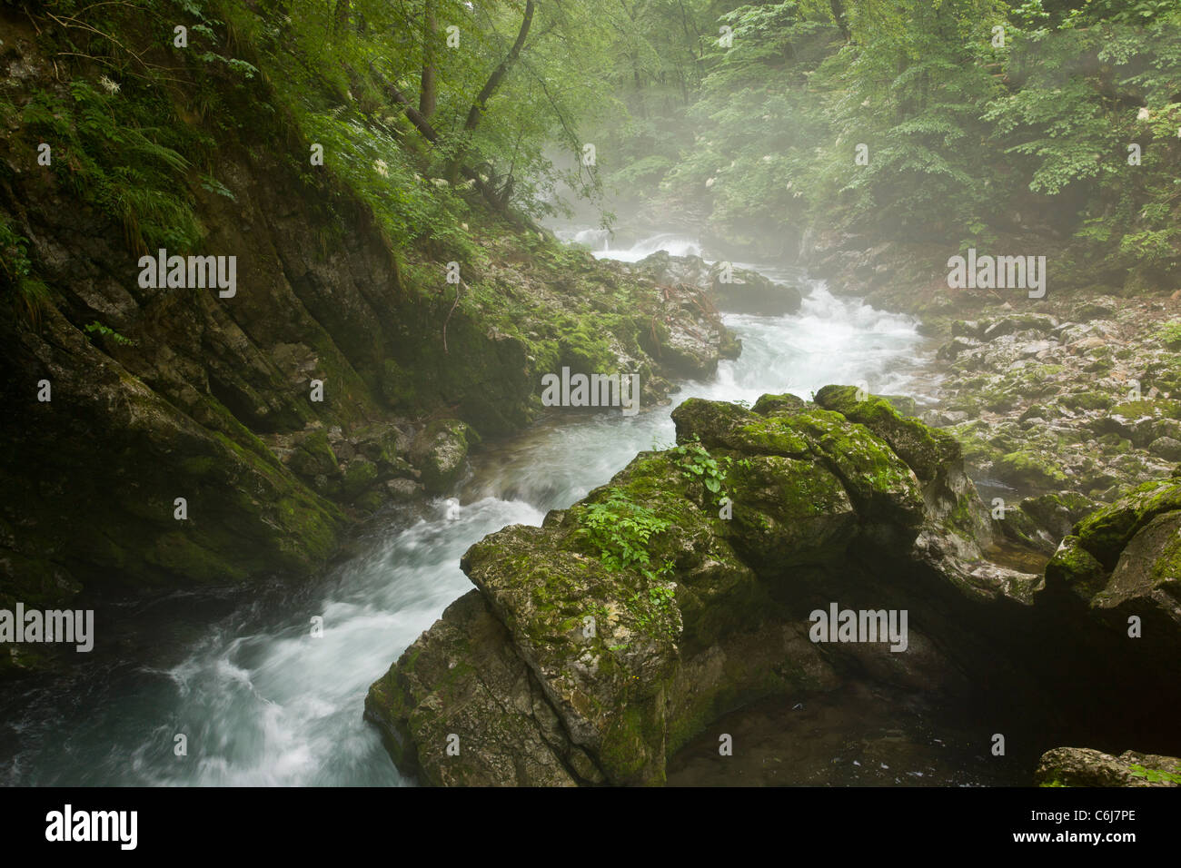 Radovna River, in the Vintgar Gorge, Triglav National Park, Slovenia. Stock Photo