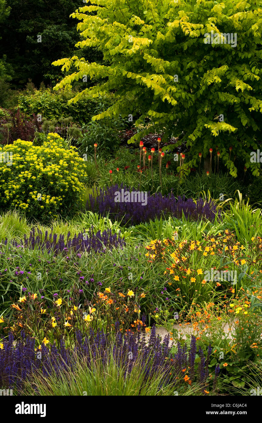 The Hot Garden in June, RHS Rosemoor, Devon, England, United Kingdom Stock Photo