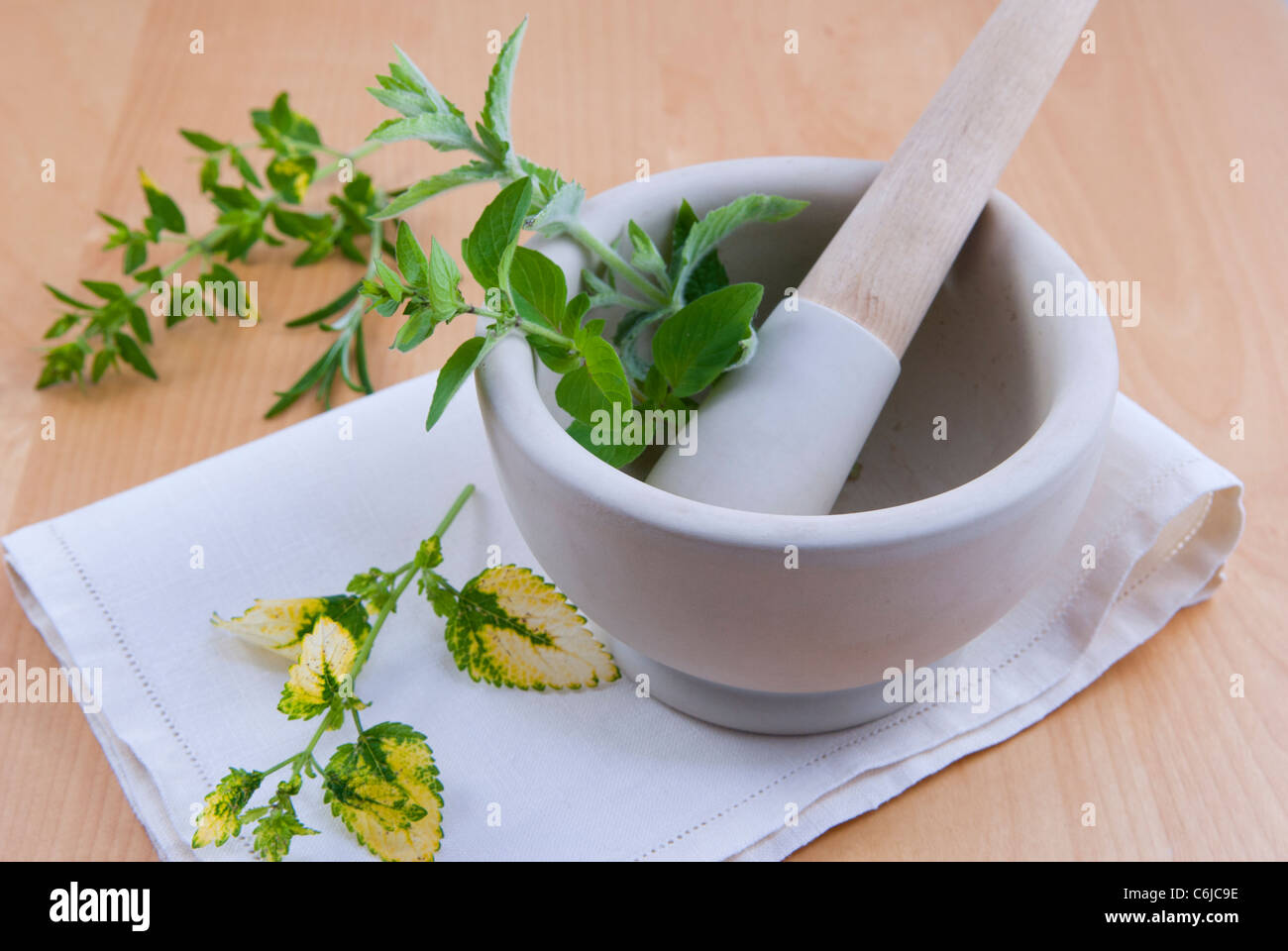 Mortar and pestle with fresh herbs Stock Photo Alamy