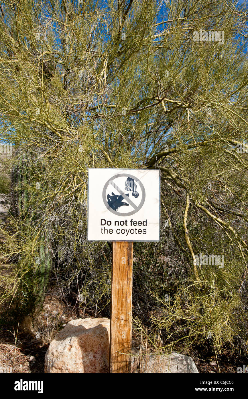 Do not fee the coyote sign, Desert Museum, Tucson, Arizona, USA Stock Photo