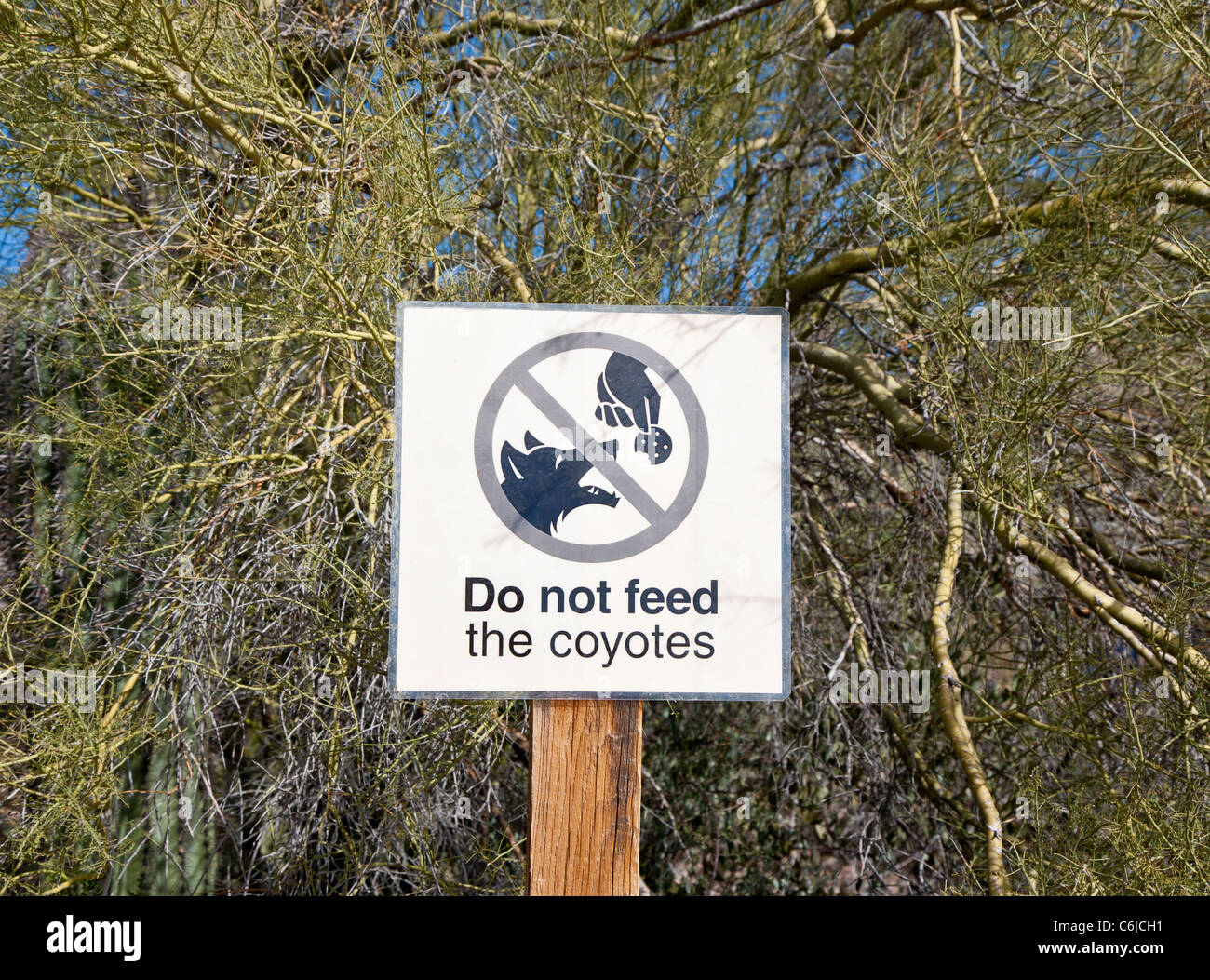 Do not fee the coyote sign, Desert Museum, Tucson, Arizona, USA Stock Photo
