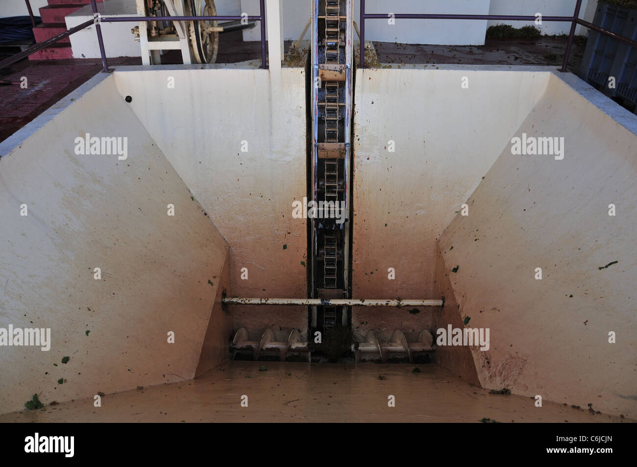 View of large concrete grape hopper, corkscrew auger and mechanical