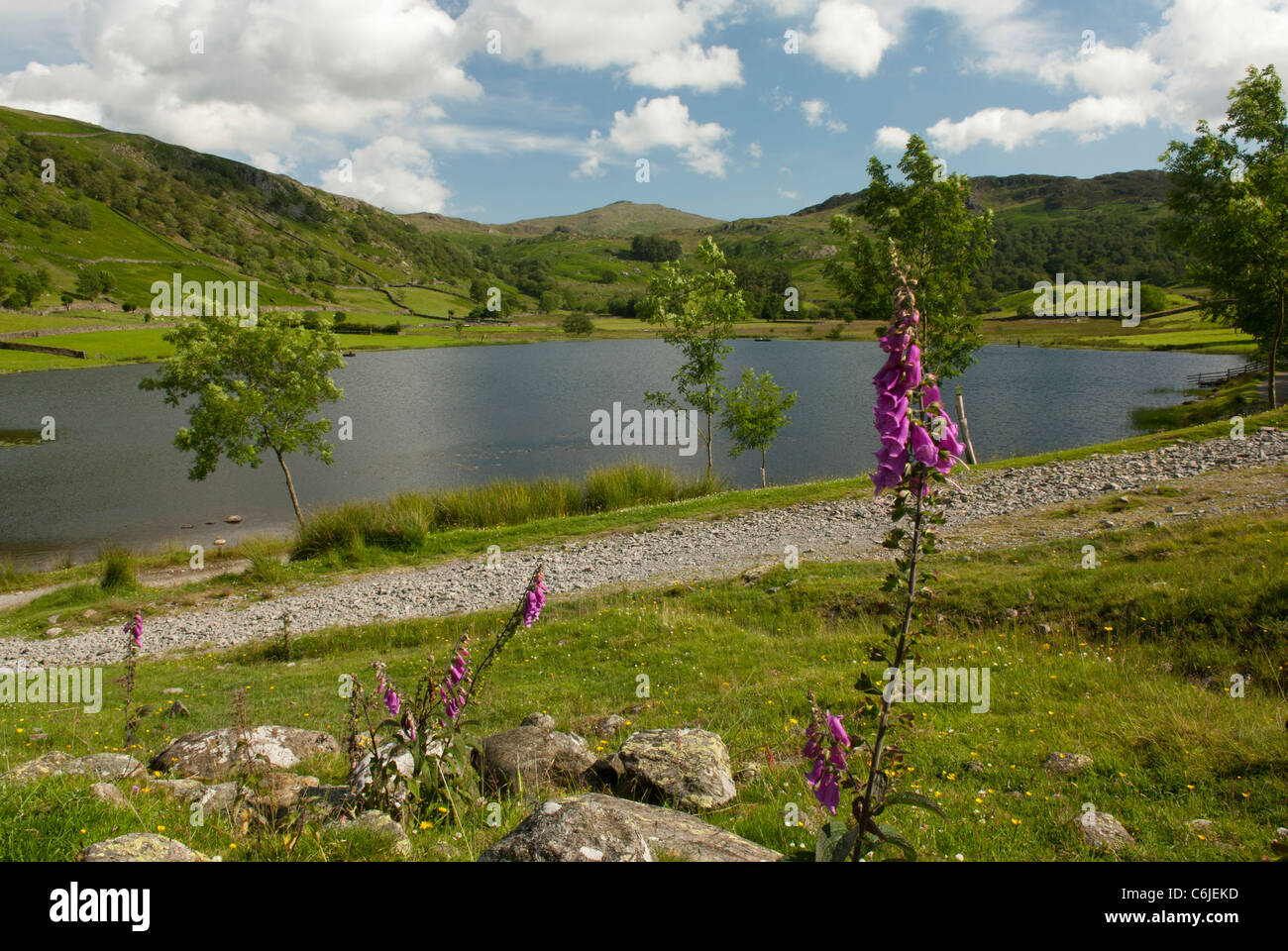 Watendlath Tarn, Lake District National Park, Cumbria, England. Stock Photo