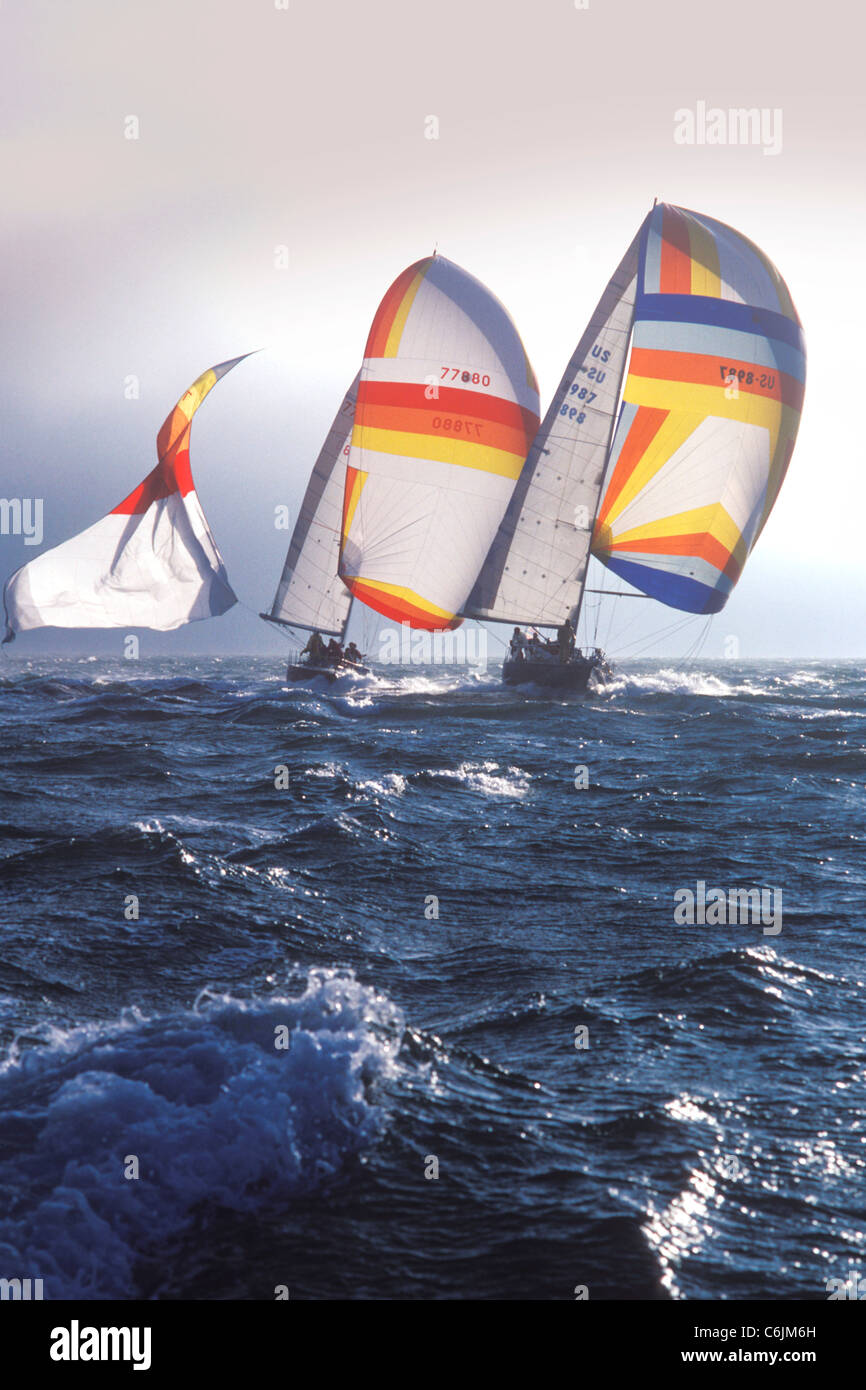 sailboat race, class winner Bravura, leads Secret Love, Big Boat Series, San Francisco