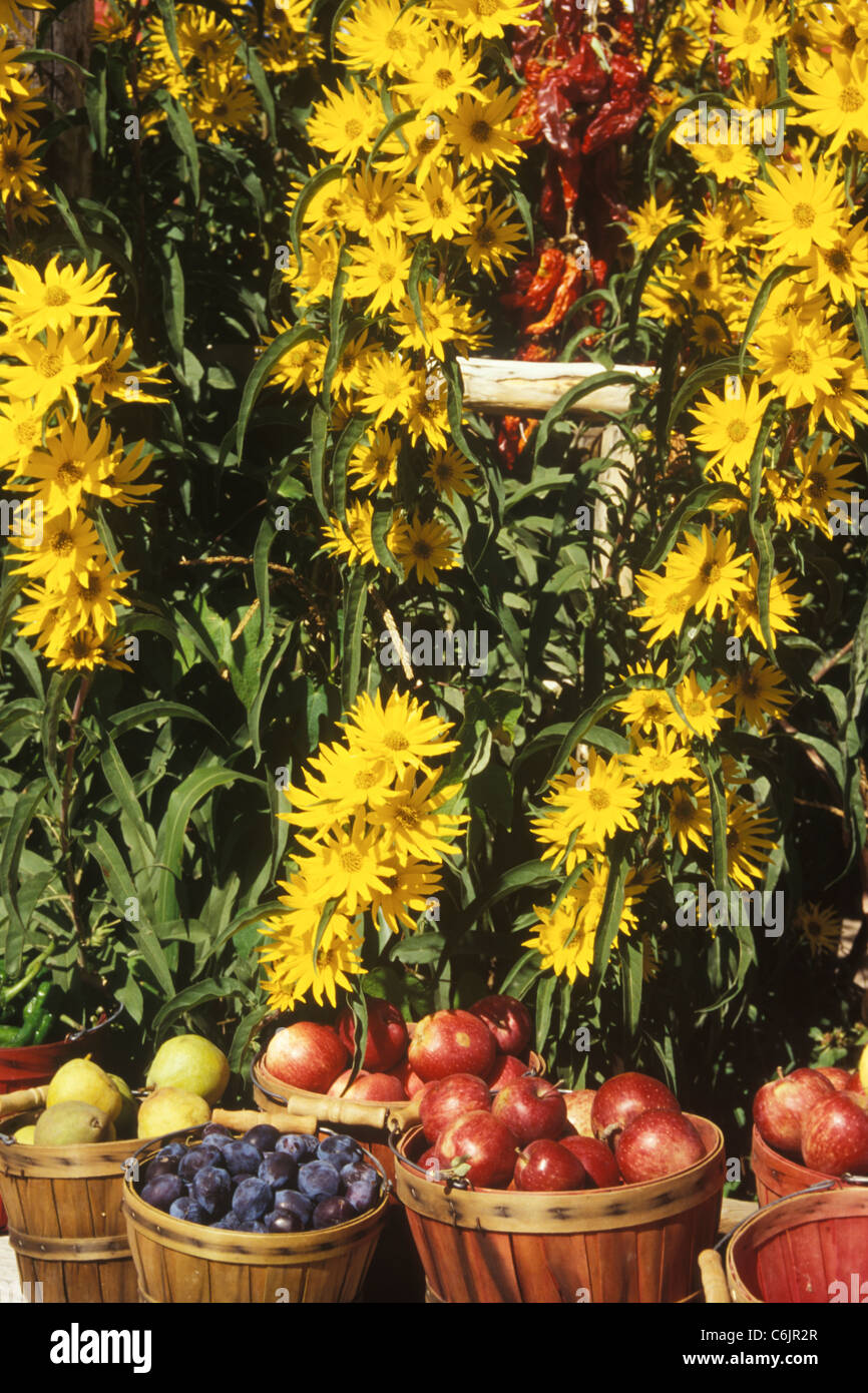 Produce at roadside stand, Espanola, New Mexico Stock Photo Alamy