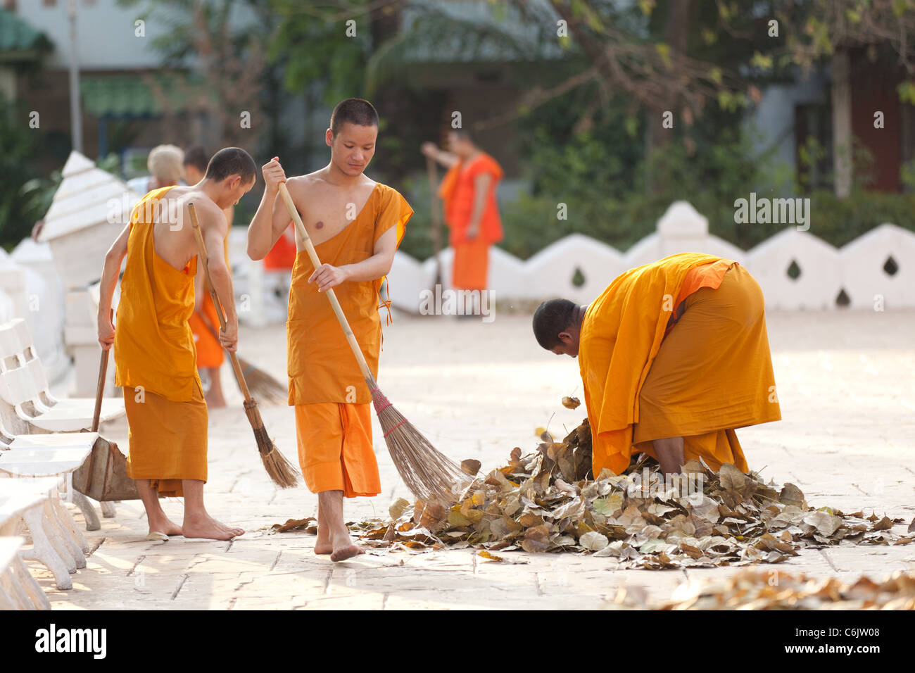 thai buddhist monks sweeping dead leaves in temple square, chiang mai, thailand Stock Photo