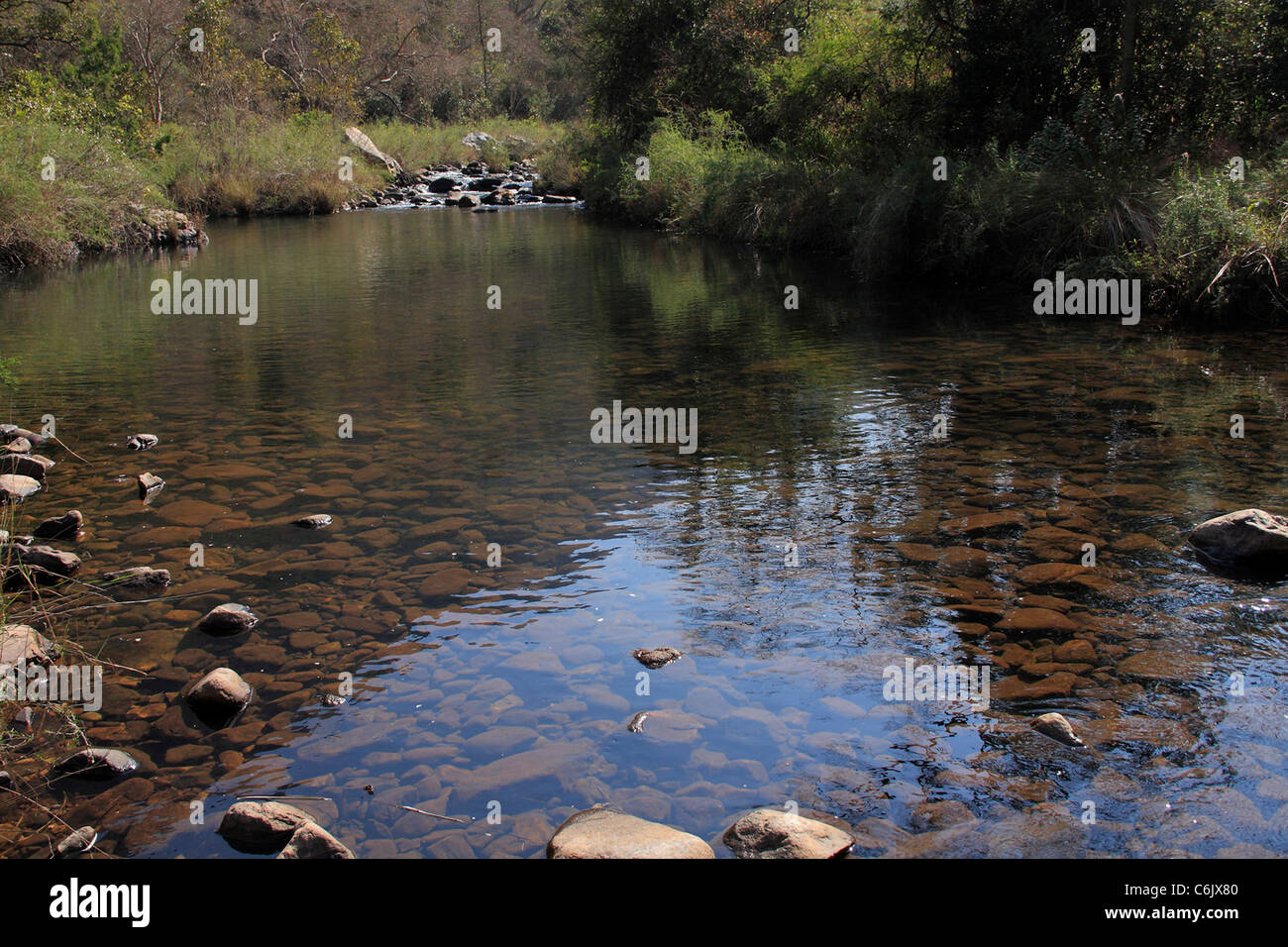 A tranquil mountain stream Stock Photo