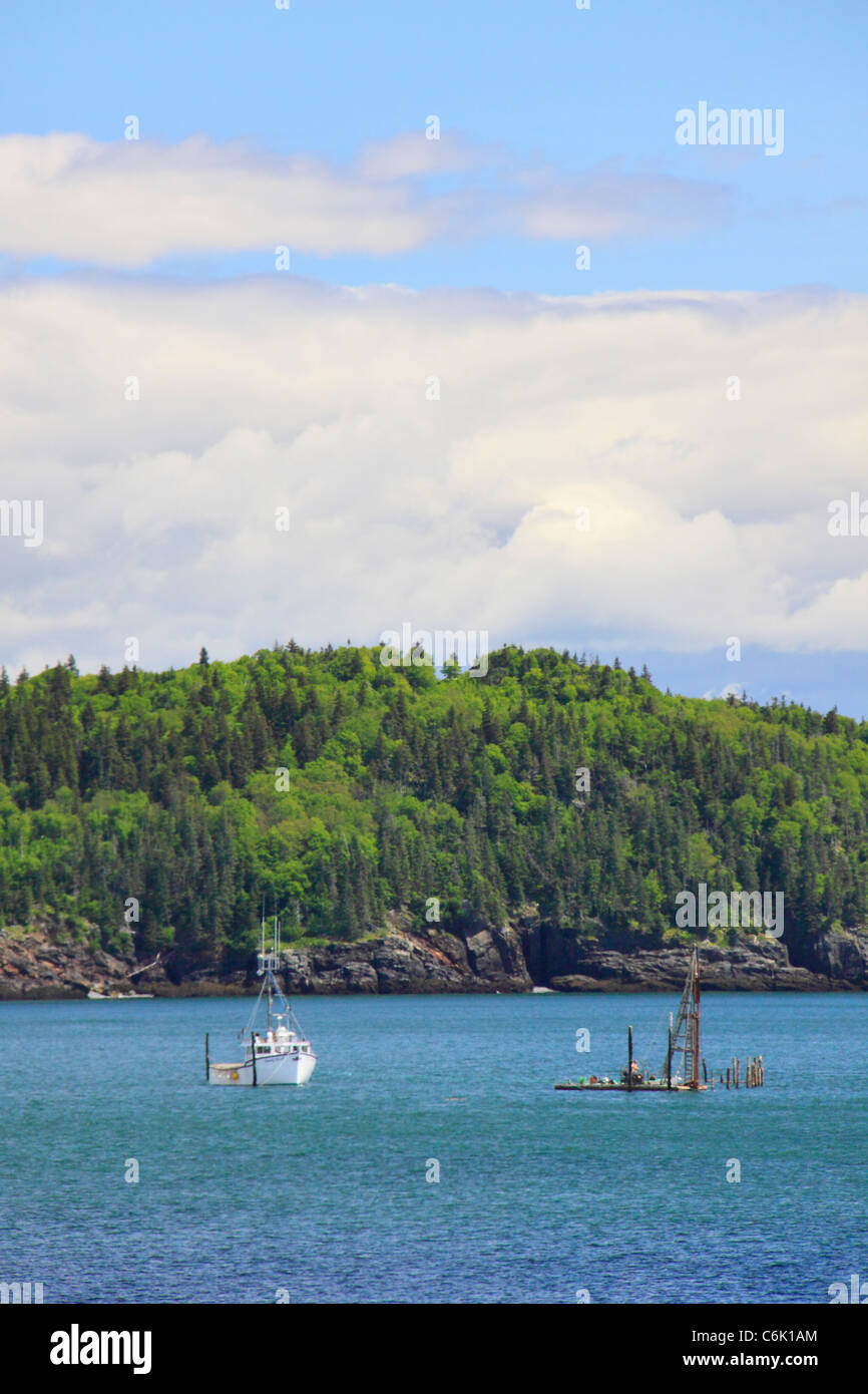 Herring Cove, Roosevelt Campobello International Park, Welshpool