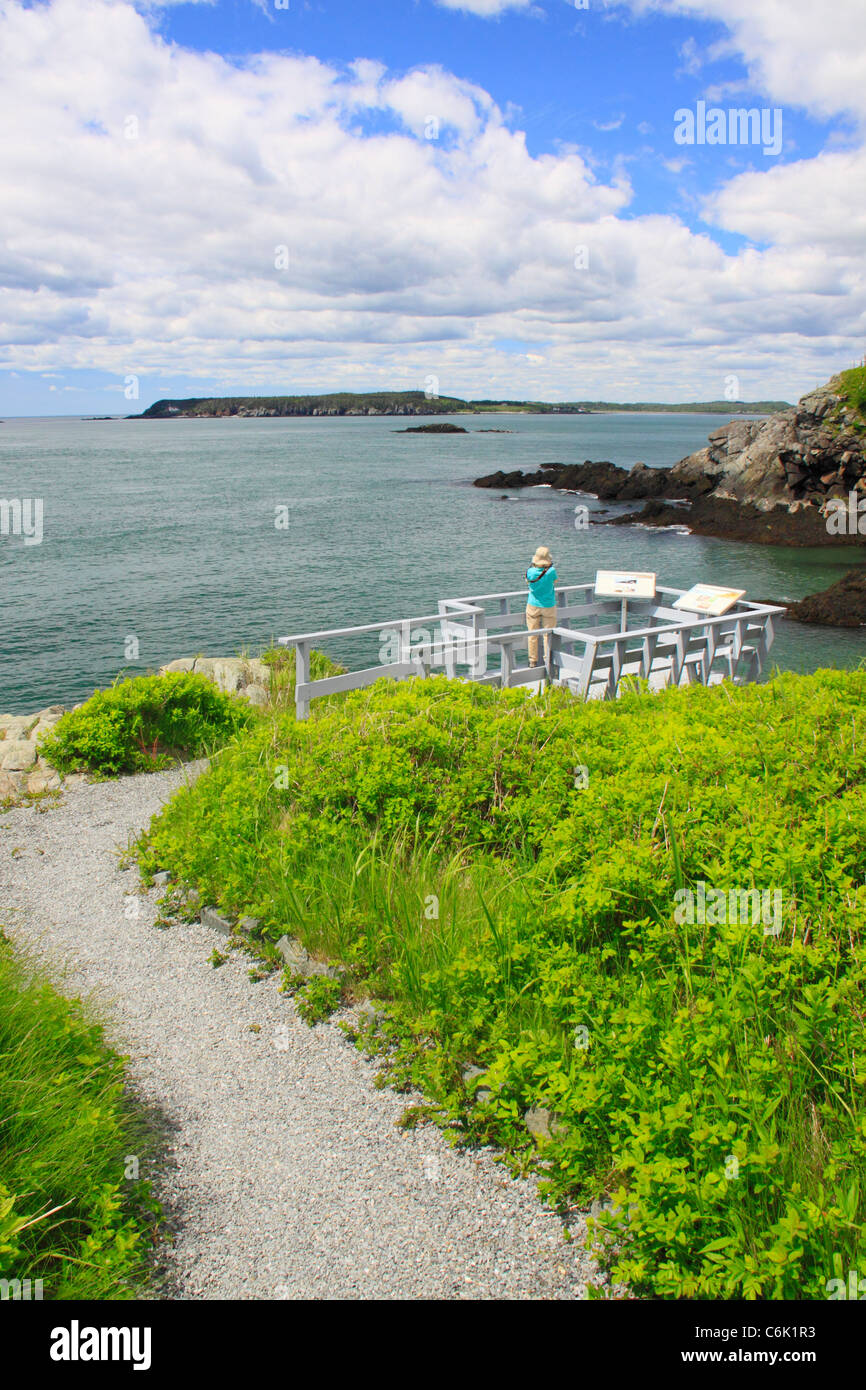 Liberty Point, Roosevelt Campobello International Park, Welshpool, Campobello Island, New Brunswick, Canada Stock Photo