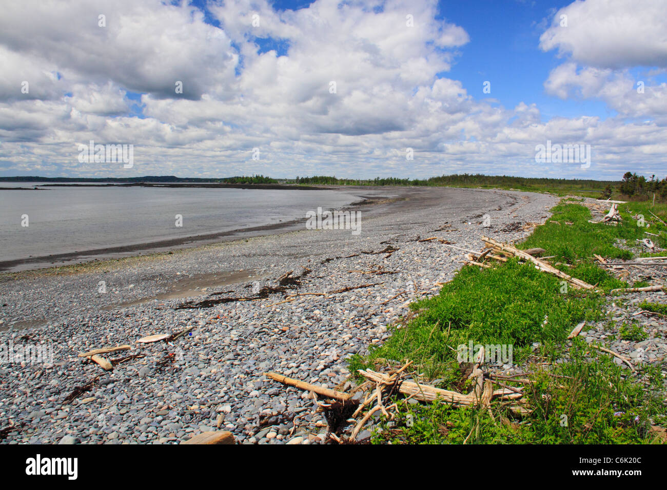 Lower Duck Pond, Roosevelt Campobello International Park, Welshpool, Campobello Island, New