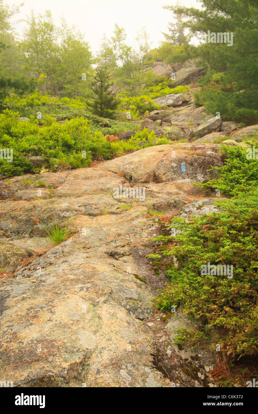 Bald Mountain Trail, Acadia National Park, Maine, USA Stock Photo Alamy