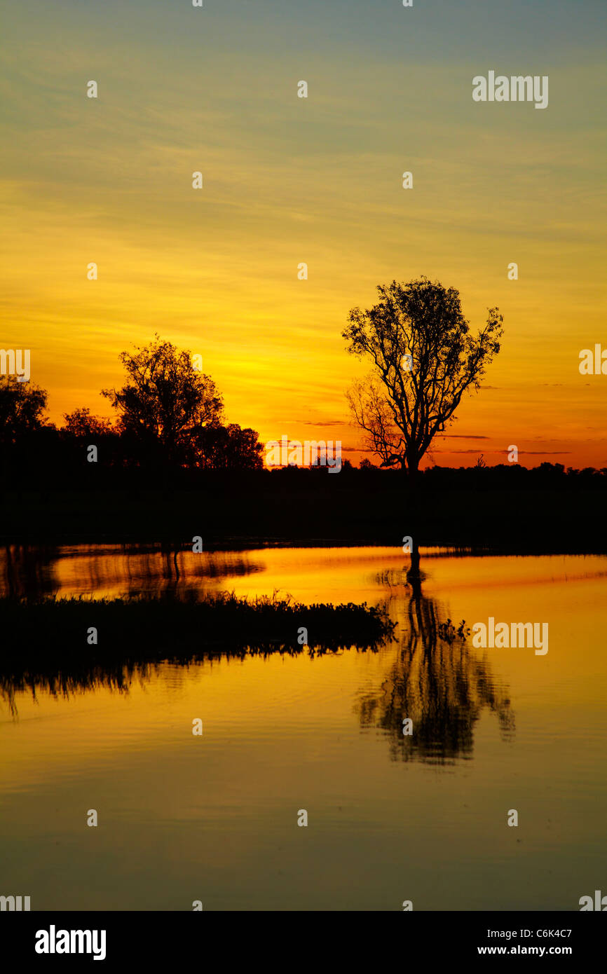 Sunset, Yellow Water Billabong, Kakadu National Park, Northern ...
