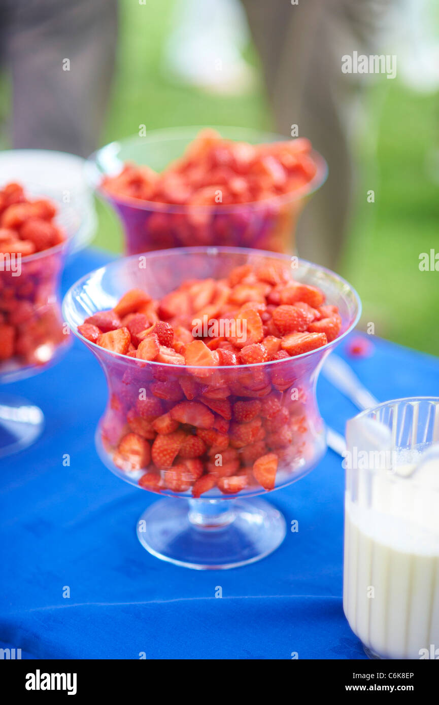 strawberry Stock Photo