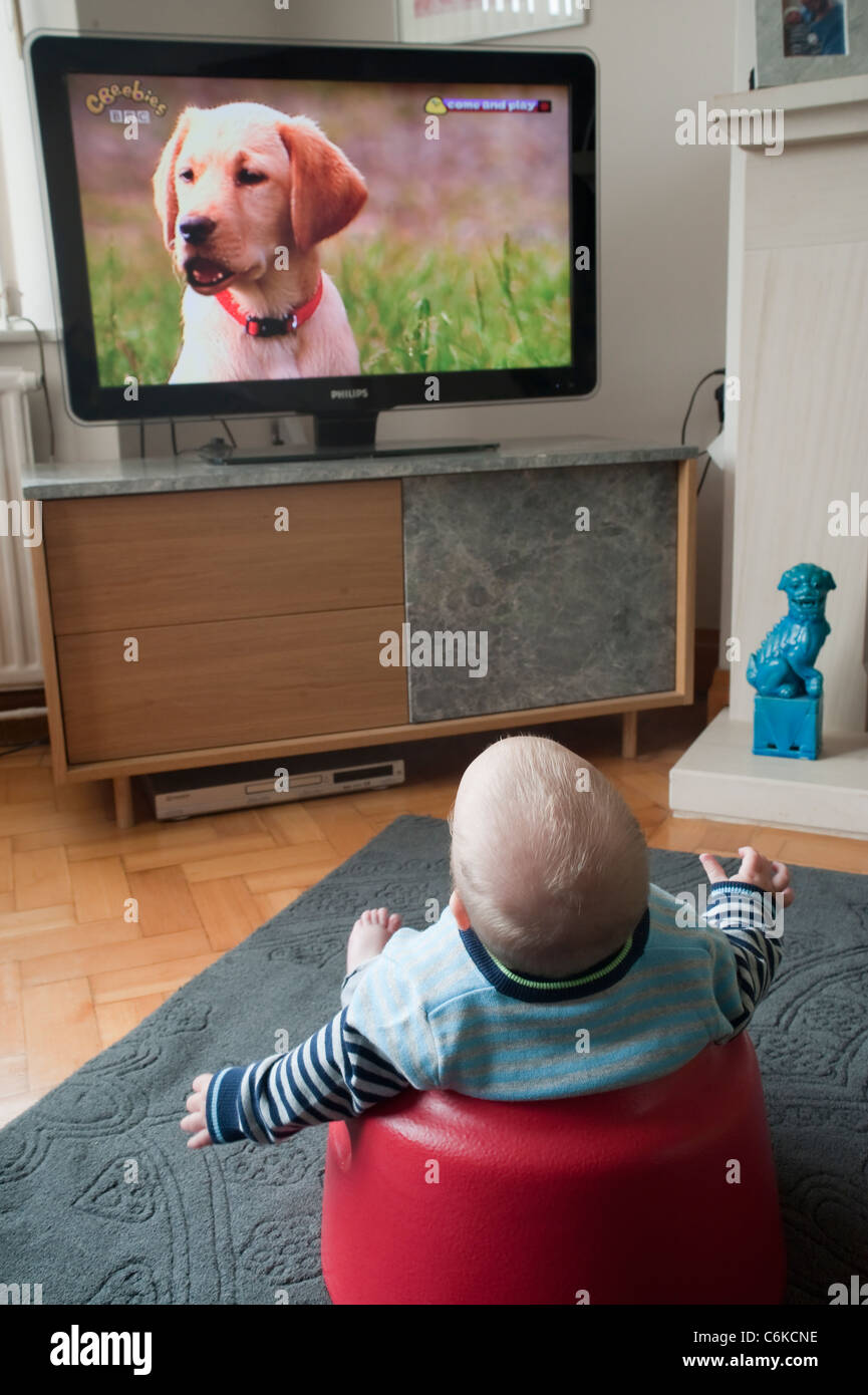 Why Do Some Dogs Watch Tv