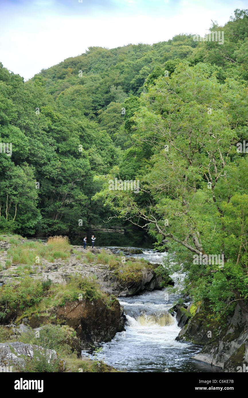 The River Afon Teifi from Cenarth Bridge forming the border between Carmarthenshire and Ceredigion in West Wales Welsh UK Stock Photo