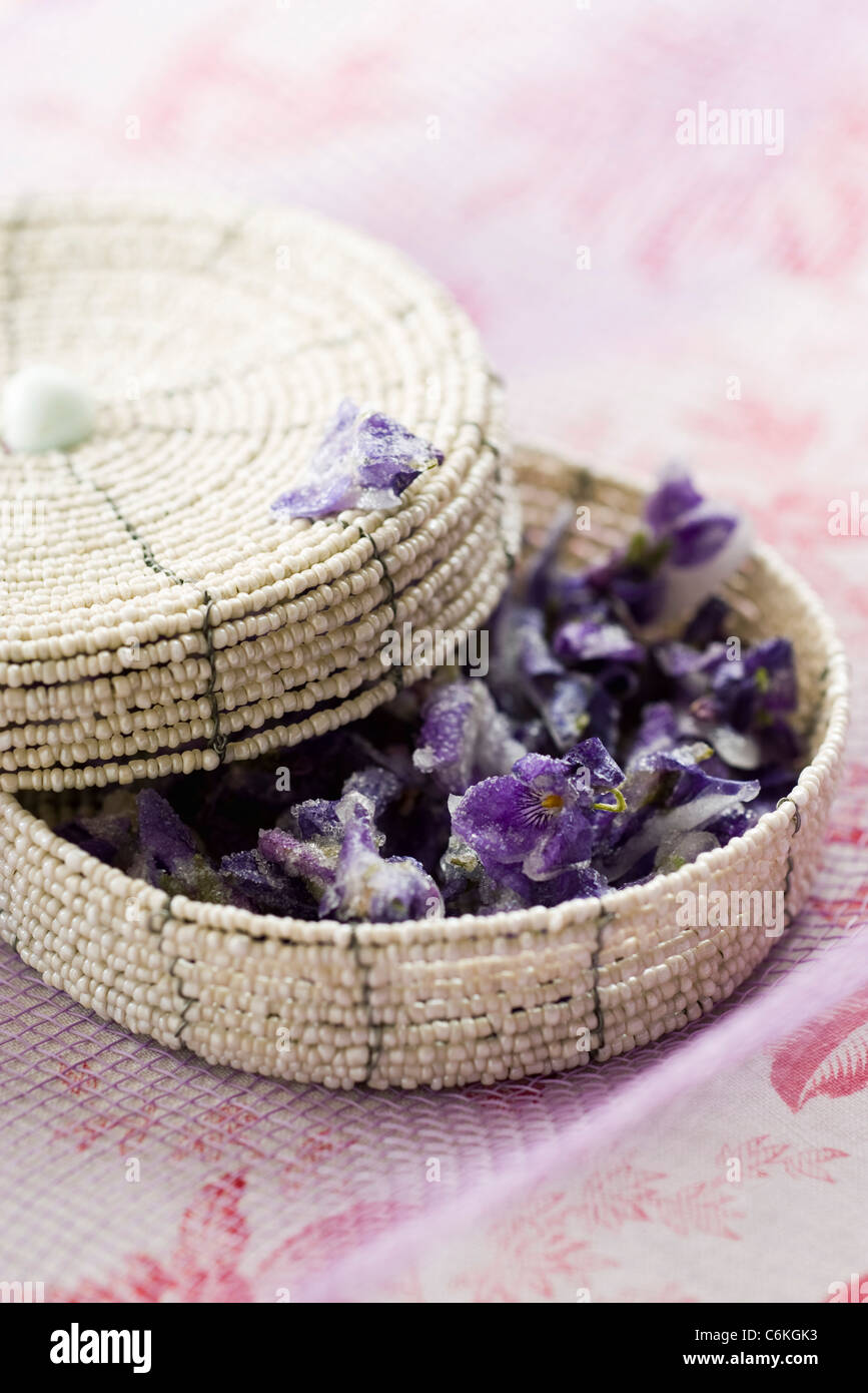 Crystallized violets Stock Photo