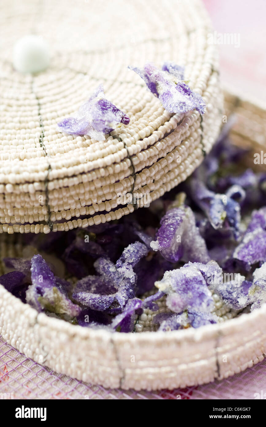 Crystallized violets Stock Photo