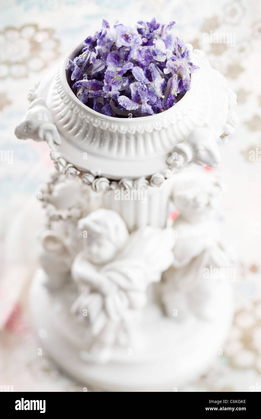 Crystallized violets Stock Photo