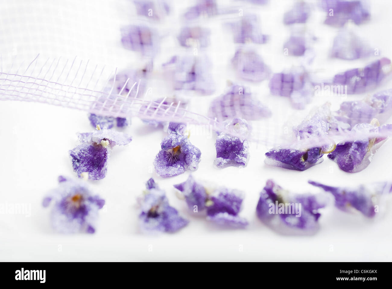 Drying crystallized violets on wax paper Stock Photo