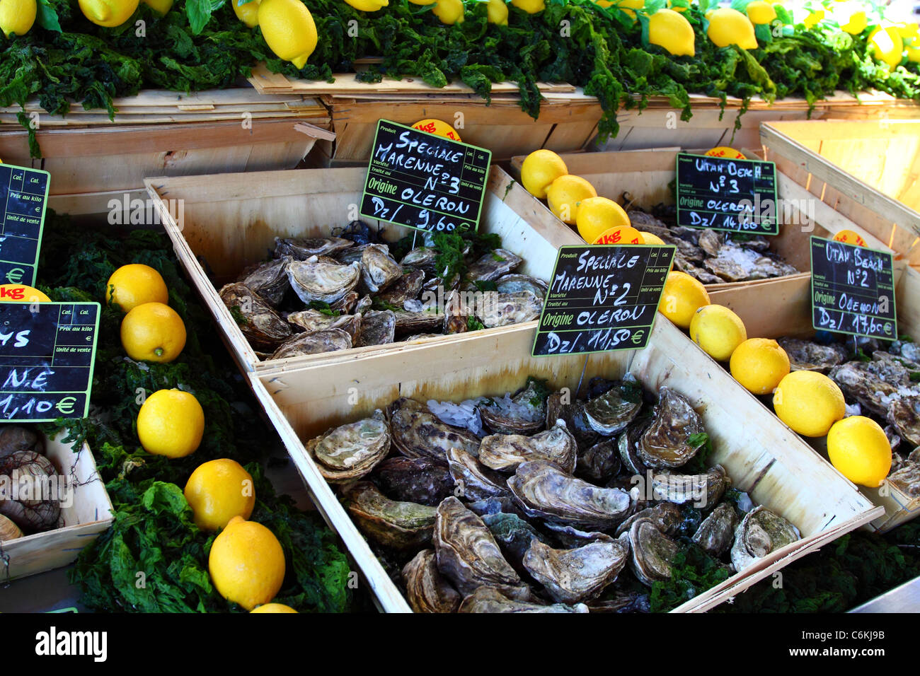 Seafood market in France Stock Photo Alamy