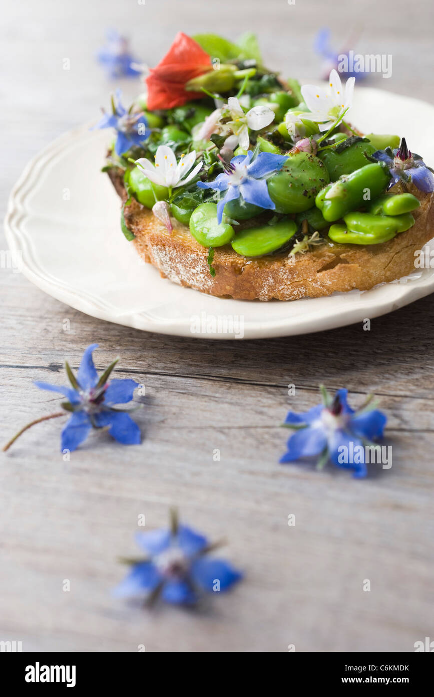 Broad bean and herb tartines with wildflowers Stock Photo